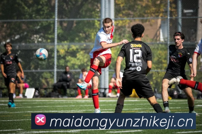 必一体育sport官网 - 必一(中国)平台生态图