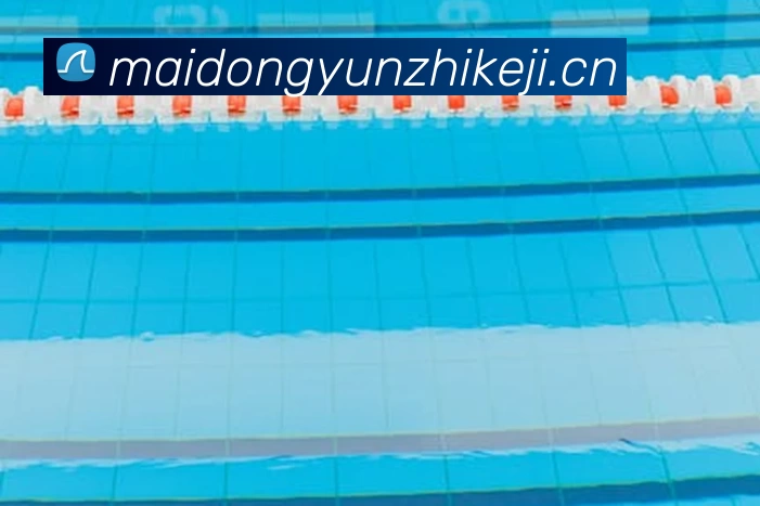 数据防护可视化